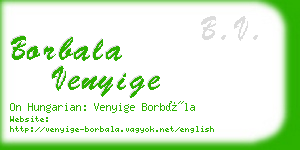 borbala venyige business card